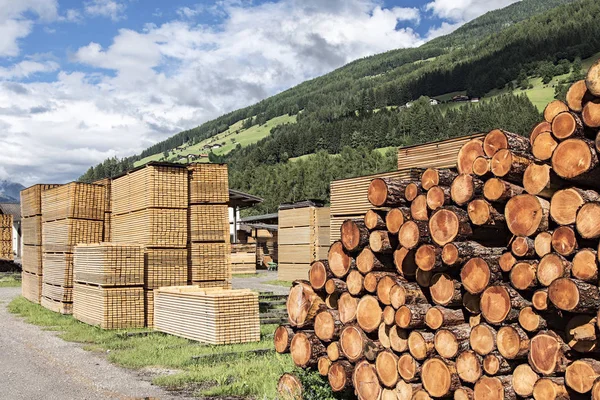 Travar av virke i sågverk — Stockfoto