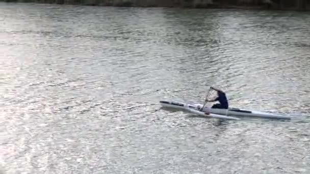 Amateur Rowing Arno River — Stock Video