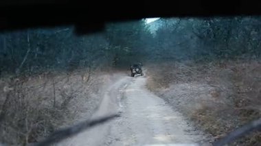 Steadicam bir off-road araç camdan vurdu. Eski moda cip off-road sürüş. Offroad araç sürüş bir dağ kadar pürüzsüz görüntüleri.