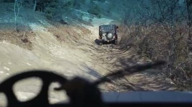 Eski moda cip off-road sürüş. Yumuşak görüntüleri bir orman yoluyla yokuş yukarı gidiyor yol araç dışından. Aşırı otomatik Turizm. Stabilize kamera bir Dağa tırmanma bir cip takip eder..