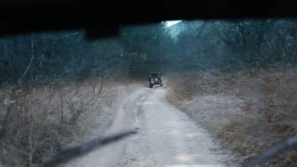 Eine Steadicam schoss durch die Windschutzscheibe eines Geländewagens. fahren altmodische Geländewagen. glatte Aufnahmen von Geländewagen, die einen Berg hinauf fahren. — Stockvideo