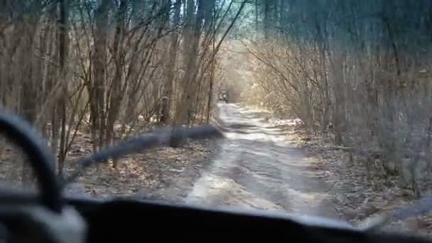 Dirigindo carro off-road jogar uma floresta. A conduzir jipes fora de estrada à moda antiga. Imagens suaves de fora do veículo rodoviário. Câmera segue à moda antiga jipe off-road subindo uma montanha através de uma floresta . — Vídeo de Stock