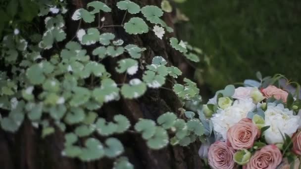 Wunderschöner Hochzeitsstrauß aus weißen Rosen und cremefarbenen Nelken auf dem Gras neben einer Eiche. Strauß verschiedener Blumen auf einem Hintergrund aus Eiche mit Efeu. — Stockvideo
