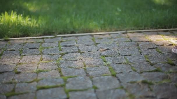 Frau, die in Hochzeitsschuhen und -kleid auf dem Kopfsteinpflaster der Straße läuft. Nahaufnahme. Gras auf einem Hintergrund. — Stockvideo