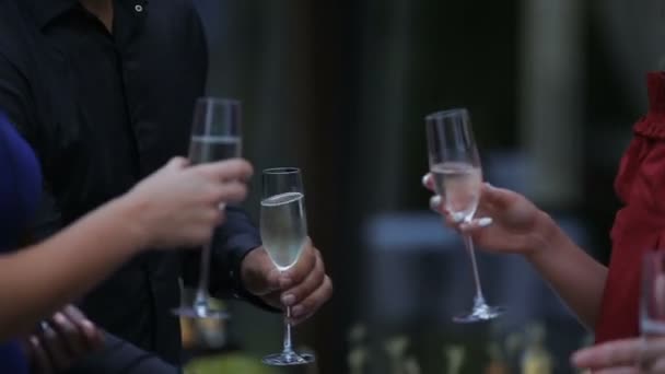 Amigos que têm vinho torrefação Clinking copos de vinho sofisticado jantar festa férias viagem feliz aniversário celebração conceito festivo — Vídeo de Stock