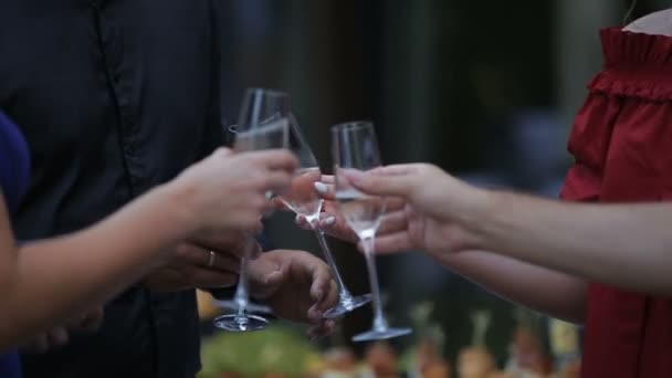 Freunde beim Anstoßen mit Wein klingende Weingläser raffiniertes Abendessen Party Urlaub Reisen Happy Birthday Feier Festkonzept — Stockvideo