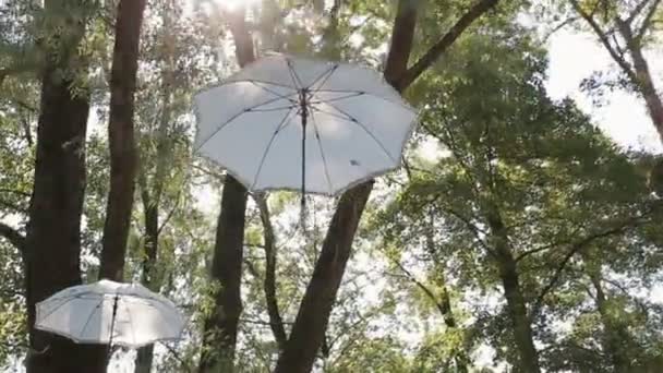 Blick von unten auf weiße Regenschirme, die in einem Park oder Wald in der Luft hängen. Steadicam-Aufnahme. — Stockvideo