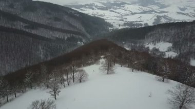 Ağaçları arasında bir dağ sırtı tarafından azalan bir Snowboarder hava görünümünü. Kuş bakışı görünüme beyaz toz kar, kış aşırı spor, Freeride yukarıda.