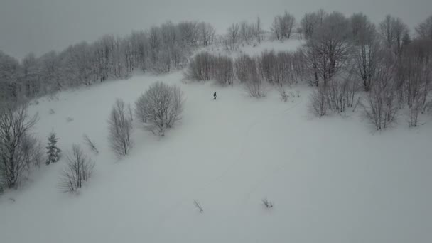 Plan aérien du snowboarder descendant parmi les arbres. Vue Oiseaux Au-dessus De La Neige Blanche En Poudre Sports Extrêmes D'hiver, Freeride . — Video