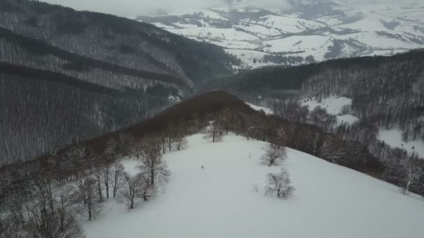 在树木之间的山脊下降的滑雪板的鸟瞰图。鸟瞰以上白粉雪, 冬季极限运动, 随心所欲. — 图库视频影像