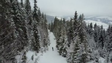 Ağaçlar arasında azalan Snowboarder hava atış. Kuş bakışı görünüme beyaz toz kar - kış aşırı spor, Freeride yukarıda.