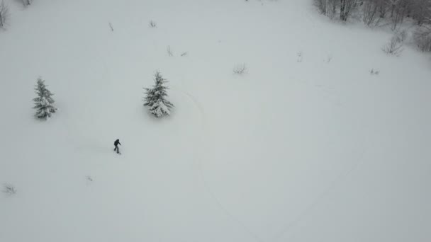 Plan aérien du snowboarder descendant parmi les arbres. Vue Oiseaux Au-dessus De La Neige Blanche En Poudre Sports Extrêmes D'hiver, Freeride . — Video