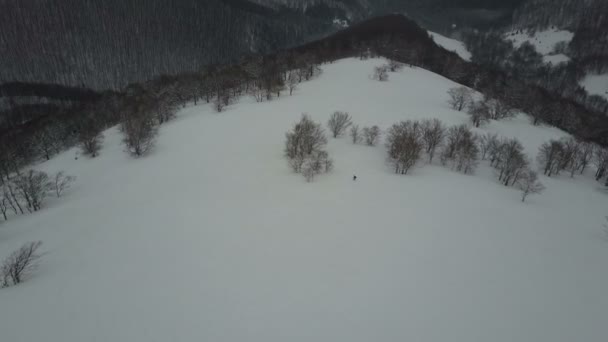 Luchtfoto van een Snowboarder aflopende door een bergkam tussen bomen. Birds Eye View boven wit poeder sneeuw, Winter, Extreme sport, Freeride. — Stockvideo