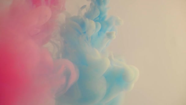 Pembe ve mavi mürekkepler suya dökülüyor. Parlak boya renklerinin dağılımı. Renkli boya suda yavaşça çözünür. Sıvının içindeki dumanın seyreltilmesi, bakması hoş olan canlı bir karışım.. — Stok video