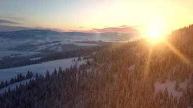 Kışın gün doğumunda Karpat Dağları 'nın havadan görünüşü. Karlar altında çam ormanlarıyla kaplı dağların üzerinden uçmak. Yeni kış günü geliyor. Yükseklikten doğal manzara.