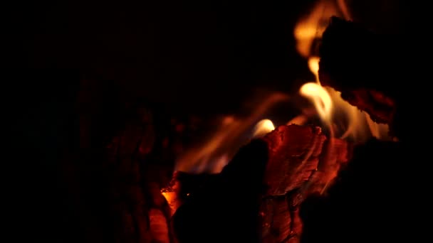 暖かい居心地の良い燃焼暖炉の遅い動き。美しいホットライジングスパーク。ページはたき火で燃えています。発砲してる炎の黒の背景に燃えるのクローズアップ。キャンプファイヤーでの料理 — ストック動画