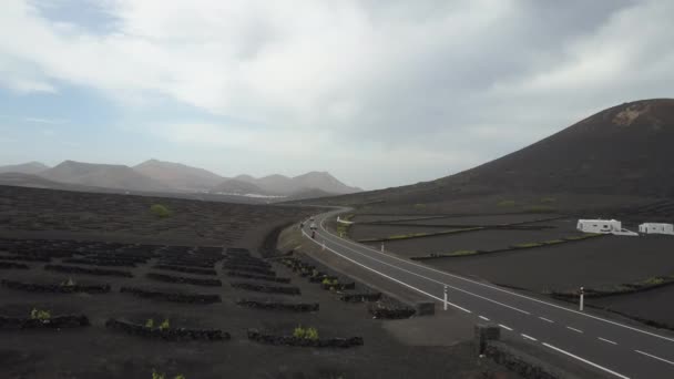 Drohnenaufnahmen von Autos und Fahrrädern, die sich auf einer Straße zwischen Weinbergen auf schwarzem Vulkanboden auf Lanzarote bewegen. Luftaufnahme des Weinanbaus in La Geria auf Lanzarote, Kanarische Inseln, Spanien. — Stockvideo