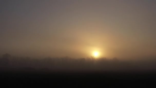 Podzimní západ slunce ve stepi, stromy pod zamlženou oblohou a jasné slunce. Lehce mrholí déšť. Studené podzimní počasí. Krásné panorama se sluncem v mlze. Pohled shora a pohled z boku zpomaleně. — Stock video