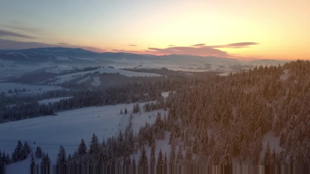 Vlucht over de Karpaten in de winter bij zonsopgang. Landelijk landschap in de winter vanaf een hoogte. Luchtfoto van bergen bedekt met sparrenbos onder sneeuw. — Stockvideo