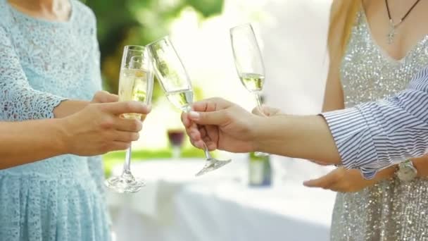 Amigos bebiendo vino blanco, tostadas Disfrutando del tiempo juntos. Fiesta al aire libre. Vacaciones de vacaciones sofisticadas Cumpleaños, Celebración. Concepto festivo . — Vídeo de stock