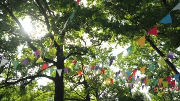 Bandeiras coloridas penduradas em galhos de árvores como decoração festiva para festa ao ar livre. Brilhante sol de verão entre as folhas verdes no fundo. Decoração para uma festa de aniversário de crianças na natureza . — Vídeo de Stock