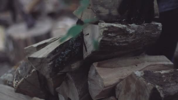 Stapelhout wordt gedroogd en klaargemaakt voor koude wintermaanden. De mens legt gehakte stukken hout netjes op elkaar in een stapel. Droge bossen zijn verpakt in een hoop voor een open haard. — Stockvideo