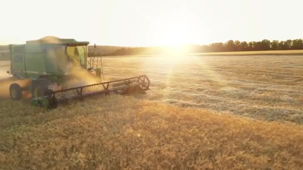 Kharkiv, Ukraina - juli 2019: 4k Kombinera skördare i solnedgångsljus skördar vete på ett gyllene fält. Jordbruksmaskin. Skördetröska ökar damm i luften. — Stockvideo
