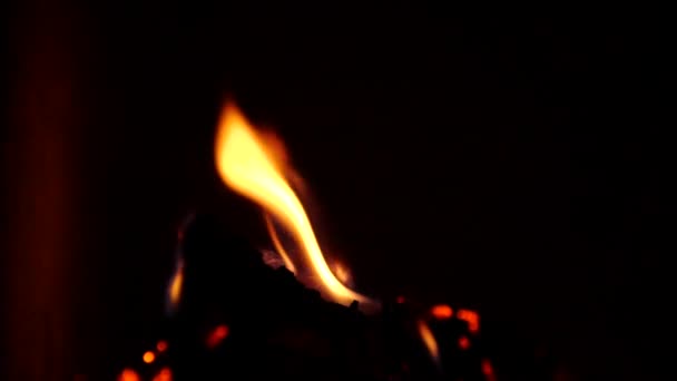 In der Nacht lodern Flammen am Lagerfeuer. Zeitlupe von brennendem Holz und Rauch im Grill. Kochen eines köstlichen Mittag- oder Abendessens in einem Topf über offenem Feuer bei einer Wanderung in der Natur — Stockvideo