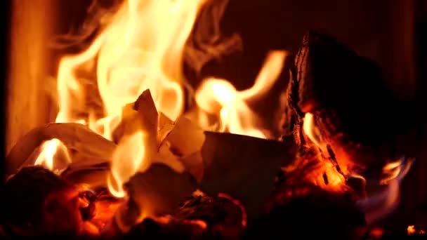 Las páginas de los manuscritos se queman en el fuego. Quemando fuego abierto. Primer plano de llamas ardiendo sobre fondo negro. Fogata en cámara lenta. Cámara lenta de la chimenea caliente y acogedora . — Vídeos de Stock
