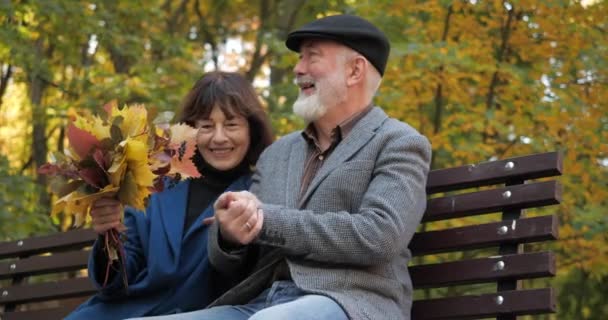 Feliz pareja de ancianos disfrutar de actividades al aire libre sentado en un banco. Esposa sostiene un ramo de hojas de otoño. El marido sostiene y acaricia la mano de sus esposas. Vacaciones románticas en la calle en cámara lenta . — Vídeo de stock