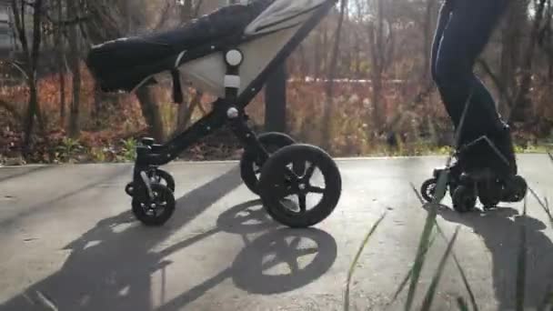 Jeune famille patinant à roulettes avec leur bébé en poussette dans le magnifique parc d'automne. Papa roule à reculons sur des roues arrière. Vue vers le bas Mouvement lent . — Video