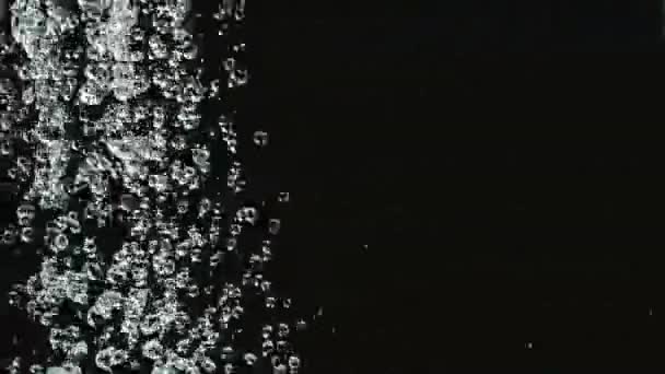 떨어지는 물은 검은 색 배경에 슬로우 모션에 떨어진다. 검은 배경에 대한 떨어지는 샤워 방울. — 비디오