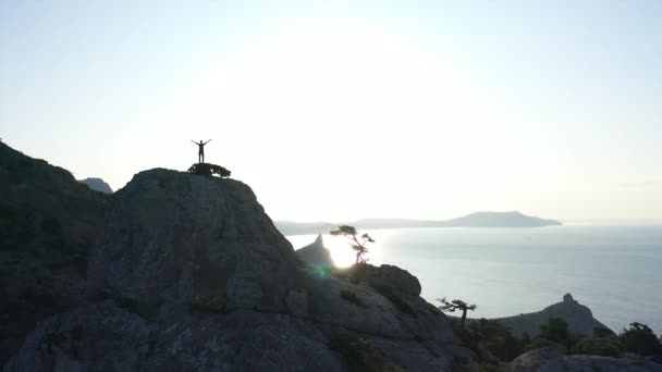 Atemberaubende Drohnenaufnahmen aus der Luft, junge Frau erreichte gerade den Gipfel des Berges. Abenteuerfrau mit erhobenen Armen auf dem Gipfel des Berges und Blick auf den Sonnenuntergang über dem Meer, der eine malerische Naturlandschaft genießt. Wanderer-Mädchen — Stockvideo