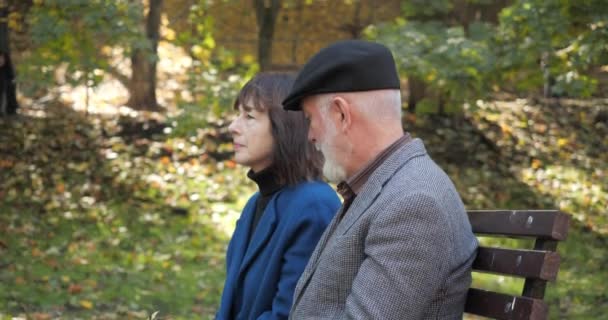 Central Park 'ta rahat bir bankta konuşan yaşlı bir kadın ve kocanın yan görüntüsü. Kadın ve erkek, güneşli havanın açık havasında yavaş çekimde farklı konular hakkında sohbet ederler.. — Stok video
