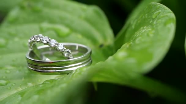 Anelli nuziali su una foglia bagnata verde dopo pioggia. Matrimonio dettagli estivi e accessori primo piano. Tempo prima della cerimonia nuziale in natura. Gioielli in argento o platino con diamanti . — Video Stock