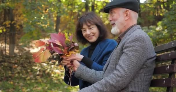 Felice marito e moglie anziani comunicare e rilassarsi su una panchina nel parco centrale della città e guardare un bouquet autunnale di foglie. Uomo e donna anziani si abbracciano e godono il tempo al rallentatore . — Video Stock