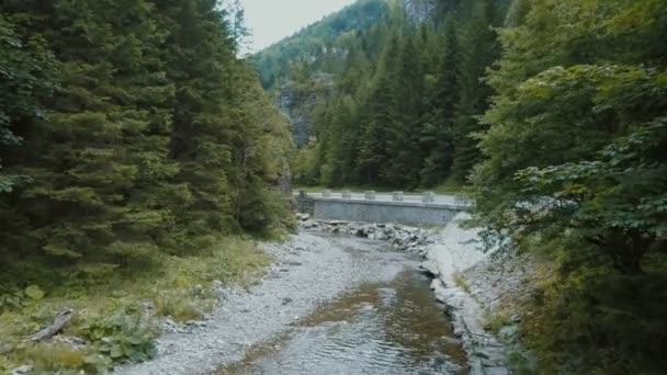 Bach fließt zwischen schönen hohen Bäumen. Bach vorbei an einer alten mittelalterlichen Brücke in einer felsigen Landschaft neben den Bergen. Ein kleiner Bach fließt unter den Bergen entlang einer steinernen Brücke. Wasserquelle. — Stockvideo