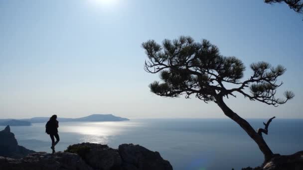 Sırt çantalı güzel bir kız yüksek bir kayaya tırmanıyor ve güneşli güzel bir deniz manzarasına bakıyor. Dişi turist bir kayaya tırmandı ve yavaş çekimde güzel bir deniz manzarasının tadını çıkarıyor.. — Stok video