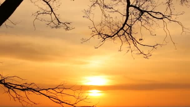 El tiro de la puesta del sol hermosa en la ciudad Sebastopol, la Crimea, Ucrania. Vista del increíble paisaje del sol y el mar, disparando desde la orilla. Horizonte del sol con agua. Vacaciones . — Vídeo de stock