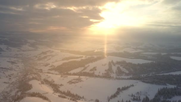 Horní pohled na krásné karpatské lesy s vysokými horami pod vrstvami měkkého bílého sněhu na pozadí oslepujícího slunce za úsvitu. Krásná příroda Karpat v zimě. — Stock video