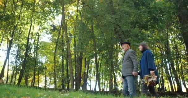 Un anciano esposo y esposa caminan a través del bosque entre árboles verdes en clima cálido y soleado en primavera y disfrutan del aire fresco y la naturaleza alrededor, vista lateral. Feliz pareja de ancianos pasar el tiempo libre . — Vídeo de stock