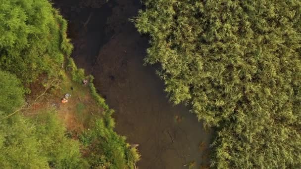 Flygfoto av en vacker höstskog uppifrån. Floden rinner i en vacker mysig skog. Fint väder att ta en promenad i naturen med vänner. Många gröna träd längs floden i övre vy. — Stockvideo