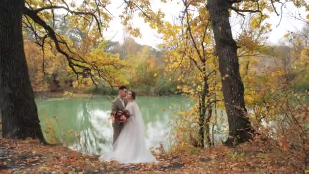 湖のそばの秋の森の中で新婚夫婦の若い魅力的な愛情のカップル。美しいカラフルな季節の葉の間で新婚旅行を愛するカップル。自然界の森で結婚式を — ストック動画