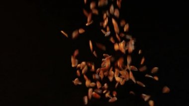Keten tohumları karanlıkta siyah, pürüzsüz bir masaya serpiştirilir. Büyük bir avuç keten masaya düşer ve siyah bir zemine çöker. Herkes için kullanışlı bir ürün. Vitaminler ve makro besinler.