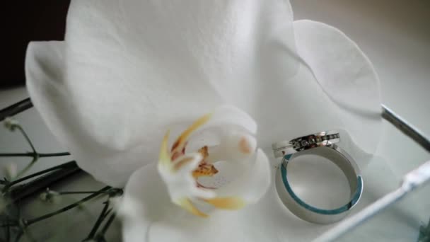 Visão fechada de uma orquídea aberta branca e um par de alianças de casamento de uma cerimônia de casamento da noiva e noivo. Dois anéis de prata elegantes encontram-se em uma caixa na mesa para o dia do casamento da festa . — Vídeo de Stock