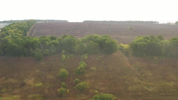Luchtopname van een geploegd groot stuk rechthoekig veld op een warme komkommer bewolkte dag omringd door bomen aan de randen. Bovenaanzicht van een privé geploegd stuk grond, boven bovenaanzicht van drone — Stockvideo