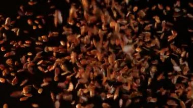 Bir sürü keten tohumu siyah arka plana dökülüyor, yakın plan görüntüsü var. İştah açıcı ve sağlıklı keten tohumu pürüzsüz siyah masaya uçar. Herhangi birinin vücudu ve sağlığı için yenilebilir ve sağlıklı keten..