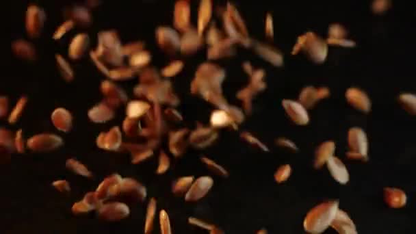 Close-up lijnzaad verspreid over een gladde tafel tegen een zwarte achtergrond. Vlaszaad valt naar beneden. Een gezond voedsel, vitaminen en omega-vetzuren voor het menselijk lichaam en de gezondheid. — Stockvideo