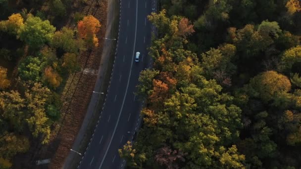 Hermoso bosque de otoño desde una altura. Volando sobre los árboles otoñales de color verde, rojo y amarillo en cámara lenta. Disparo aéreo de carretera de campo que pasa entre un hermoso bosque de otoño. Carretera para coches . — Vídeos de Stock