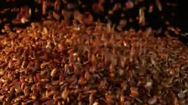 Pek çok keten tohumu siyah, pürüzsüz bir masaya serpiştirilir, yakın çekim manzarası. Birisi izole edilmiş siyah arka planda masanın üzerine keten tohumu döküyor. Herhangi birinin sağlığı için yararlı ve lezzetli bir ürün..